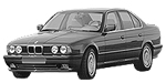 BMW E34 P0C2C Fault Code