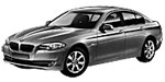 BMW F10 P0C2C Fault Code